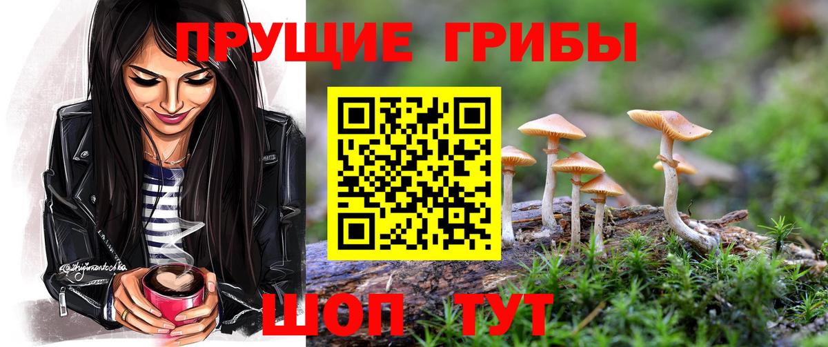 Нарткала  Псилоцибиновые грибы MAGIC MUSHROOMS  Вход с VPN  Псилоцибиновые грибы прущие грибы 