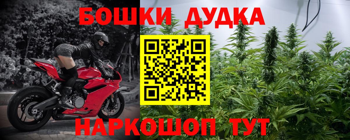Каннабис MAZAR Нарткала